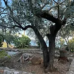 Sea View House A Lejlighed Pera Melana