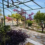 Διαμέρισμα Sea View House A Pera Melana