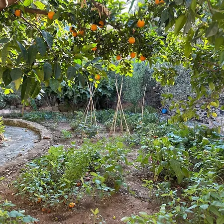 Sea View House A Pera Melana